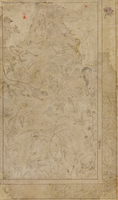 Dibujo de animales y plantas de Unbekannt