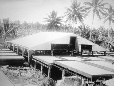 Secado de copra, Islas Salomón, Fiyi, 1905 de Unbekannt
