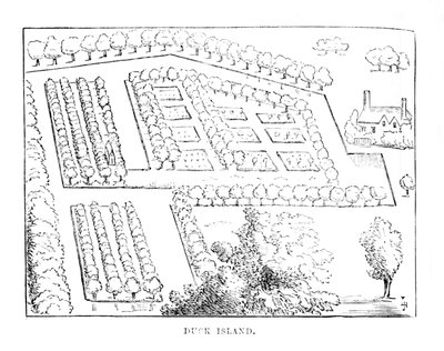 Isla del Pato, c1870 de Unbekannt