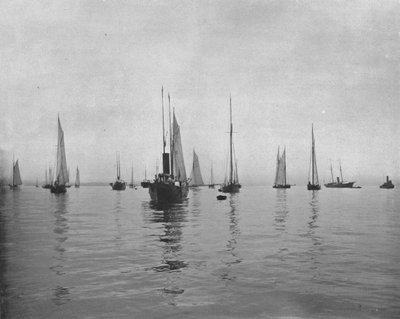 Mañana temprano en la bahía de Nueva York, EE.UU., c1900 de Unbekannt