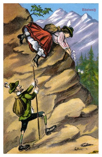 Edelweiss, finales del siglo XIX o principios del siglo XX de Unbekannt