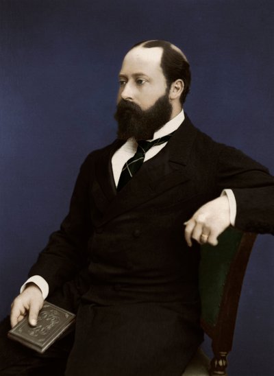 Eduardo VII entonces Príncipe de Gales, 1876 de Unbekannt