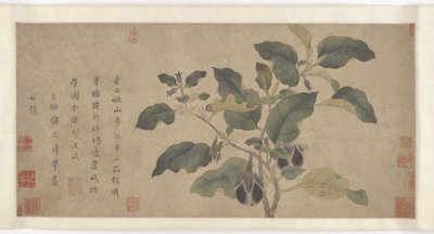 Berenjena, dinastía Yuan o Ming, siglo XIV de Unbekannt