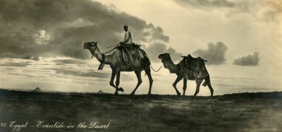 Egipto - Atardecer en el Desierto de Unbekannt