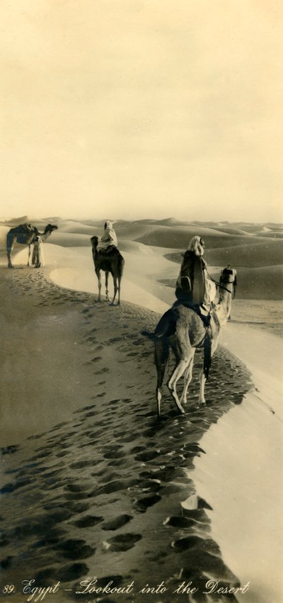 Egipto - Mirador hacia el desierto de Unbekannt