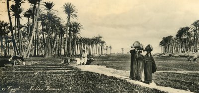 Egipto - Mujeres nativas, c1918-c1939 de Unbekannt