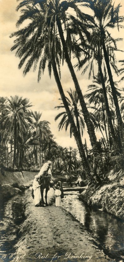 Egipto - Descanso para beber, c1918-c1939 de Unbekannt