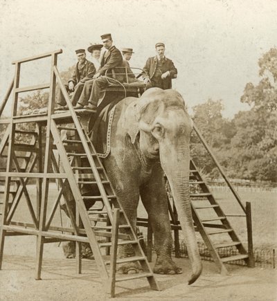 Paseo en elefante de Unbekannt