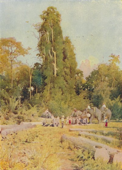 Elefantes apilando teca, 1924 de Unbekannt