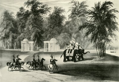 Elefantes y guardia en el parque de Barrackpore, 1820, 1925 de Unbekannt