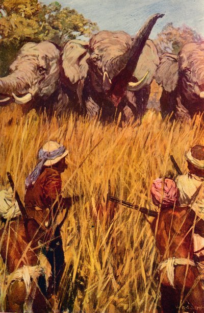 Elefantes en persecución, c1850 c1912 de Unbekannt
