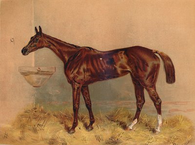 Emblema, yegua de steeplechase, c. 1879 de Unbekannt