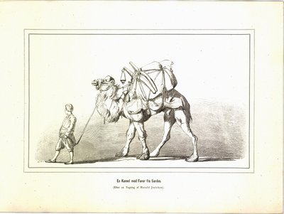 Un camello con guía de Sardes. Ilustración del libro Brogede rejsebilleder de Jerichau-Baumann, Elisabeth y publicado por Forlagsbureauet (Copenhague, 1881) de Unbekannt