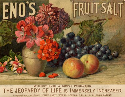 Eno’s Fruit Salt, siglo XIX de Unbekannt
