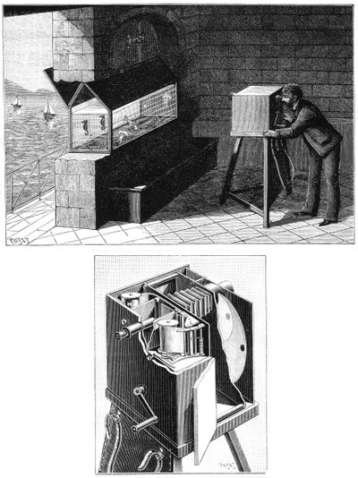 Etienne Jules Marey con cámara de cine, 1903 de Unbekannt