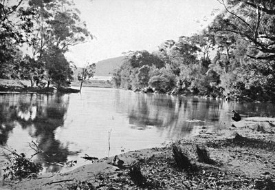Sombras de la tarde, Parque Nacional, c. 1900 de Unbekannt