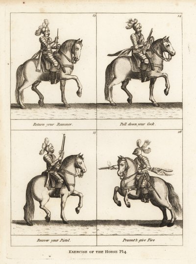 Ejercicio del caballo de Unbekannt