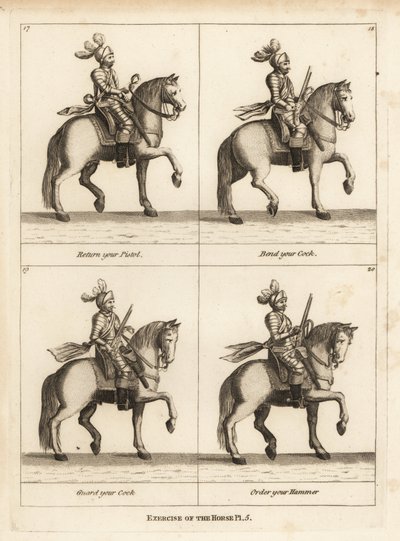 Ejercicio del caballo de Unbekannt