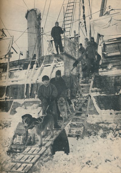 Ejercitando a los perros, 1936 de Unbekannt
