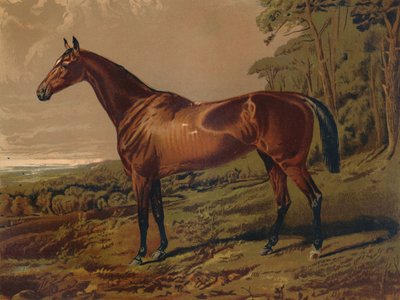Bella Nell, c. 1879 de Unbekannt