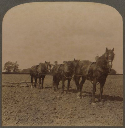 Agricultura en Inglaterra - Rastra de la Tierra, 1909 de Unbekannt