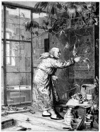 Alimentando a las mascotas, 1880 de Unbekannt