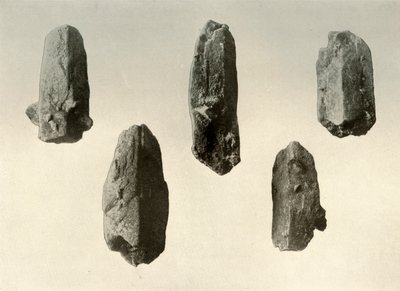 Cristales de feldespato del Summit del Monte Erebus Tamaño Natural, 1909 de Unbekannt