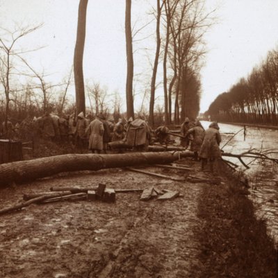 Tala de árboles, Noyon, norte de Francia, c1914-c1918 de Unbekannt
