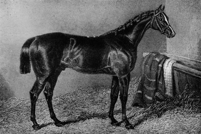 Filho Da Puta, 1812-1835, 1911 de Unbekannt