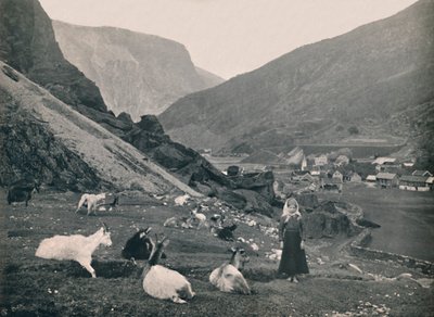 Flaam, 1914 de Unbekannt