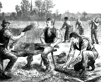 Rippling de lino, c1880 de Unbekannt