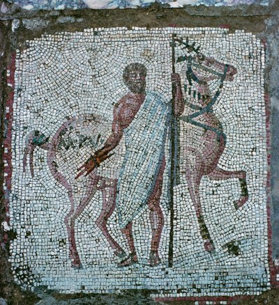 Mosaico de suelo de una villa romana de Unbekannt