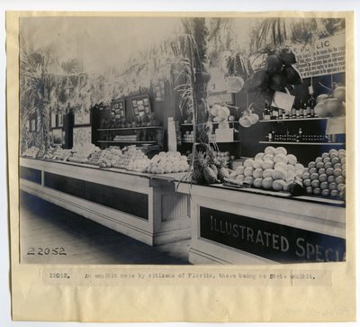 Exhibición de horticultura de Florida en el Palacio de Horticultura en la Feria Mundial de 1904 de Unbekannt