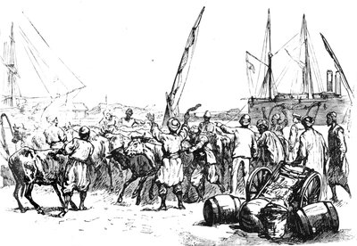 Comida para las tropas: Desembarco de ganado en Port Said, c. 1882 de Unbekannt