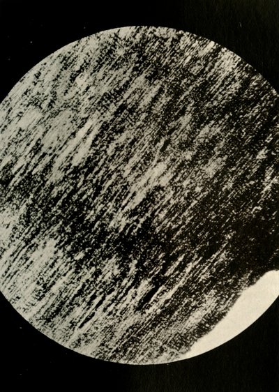Madera fósil en arenisca, de una morrena en latitud 85° Sur, c1908, 1909 de Unbekannt