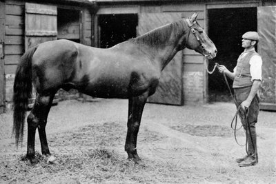 Foxhall de Unbekannt