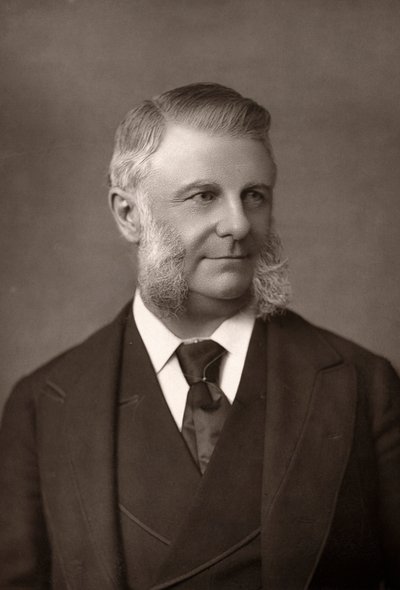 Frederick Augustus Abel 1827-1902, químico e inventor inglés, c1890 de Unbekannt