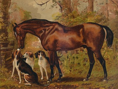 Masón - Cazador favorito del difunto Hugo Meynell Ingram Esq., c1879 de Unbekannt
