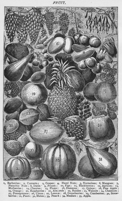 Fruta, 1907 de Unbekannt