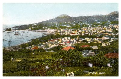 Funchal, Madeira, principios del siglo XX de Unbekannt