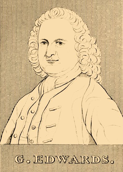 G. Edwards, 1694-1773, 1830 de Unbekannt