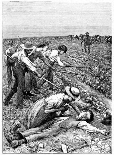 Sistema de trabajo infantil en grupo, c. 1885 de Unbekannt