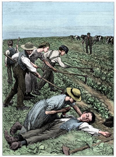 Sistema de trabajo infantil en grupo, c1885 de Unbekannt