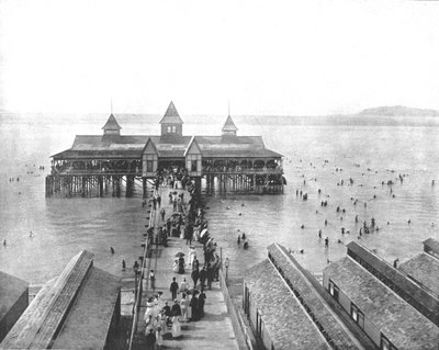 Playa Garfield, Gran Lago Salado, Utah, EE.UU., c1900 de Unbekannt