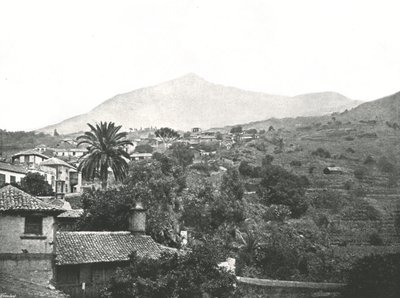 Vista general mostrando el Pico, Tenerife, Canarias, España, 1895 de Unbekannt