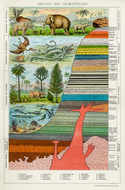 Geología y Paleontología de Unbekannt