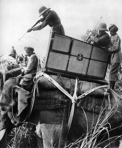 Jorge V cazando tigres, India, 1911 de Unbekannt