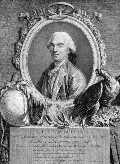 Georges-Louis Leclerc, Conde de Buffon, naturalista francés, siglo XVIII de Unbekannt