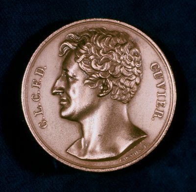 Georges Leopold Chretien Frederic Dagobert, Barón Cuvier, anatomista francés, siglo XIX de Unbekannt