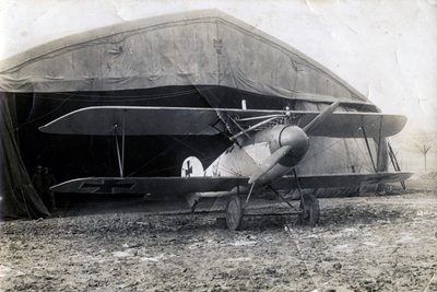 Albatros alemán DV, Souilly, Francia, 2 de enero de 1918 de Unbekannt